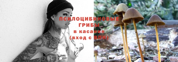 кокс Абаза