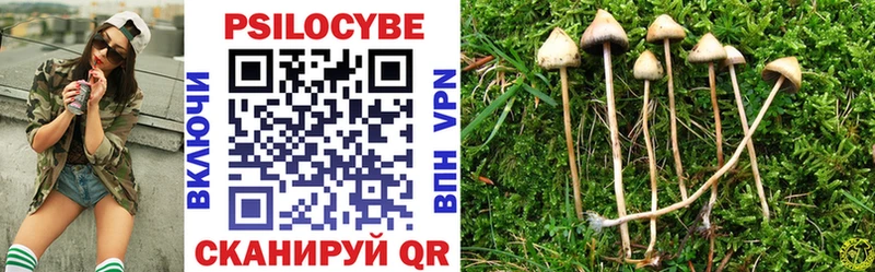 Галлюциногенные грибы Psilocybe  даркнет наркотические препараты  Тюмень  где продают наркотики 